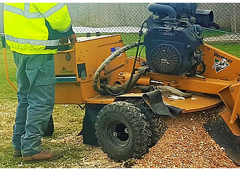 Mississauga Services d'arboriculteur The Real Tree Masters Inc.