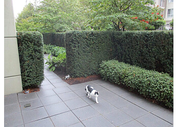 New Westminster lawn care service The Silent Gardener Ltd.