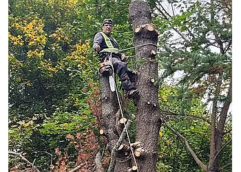 Fredericton tree service The Tree Man Ltd