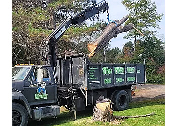 Fredericton tree service The Tree Man Ltd