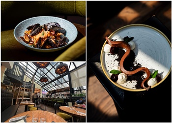 Mississauga Pubs The Wilcox Gastropub