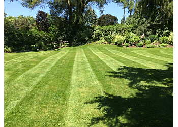 Stratford lawn care service The Yard Doctor
