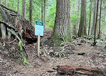 Maple Ridge hiking trail Thornhill Trails