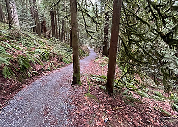 Maple Ridge hiking trail Thornhill Trails