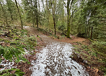 Maple Ridge hiking trail Thornhill Trails