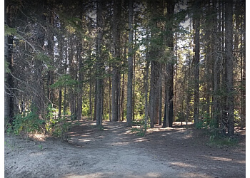 Red Deer hiking trail Three Mile Bend Recreation Area