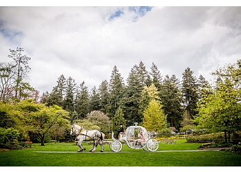 New Westminster videographer Three Sixty Media