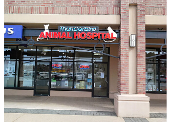 thunderbird animal hospital microchipping