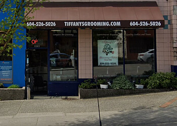 New Westminster pet grooming Tiffany's Grooming Salon image 1