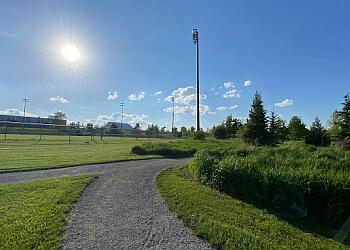 Aurora Sentiers De Randonnée Tim Jones Trail
