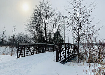 Aurora Sentiers De Randonnée Tim Jones Trail