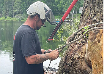 Belleville tree service Tim McConnell Tree Services Ltd.