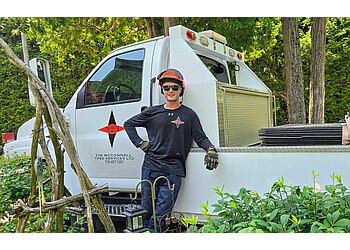 Belleville tree service Tim McConnell Tree Services Ltd.