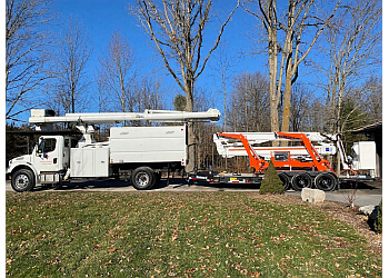 Belleville tree service Tim McConnell Tree Services