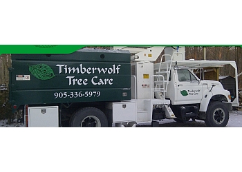timberwolf tree service stump grinding timberwolf treecare and consulting best tree services in burlington on threebestrated timberwolf tree service stump grinding timberwolf treecare and consulting best tree services in burlington on threebestrated