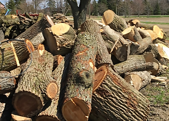 Tim’s Tree Care Inc. - Stratford, ON Services d'arboriculteur - Service Image