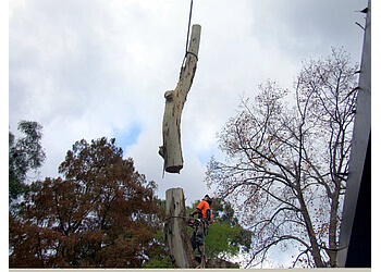 Victoria tree service Tip Top Tree Service Ltd.