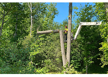 Welland Services d'arboriculteur Tip Top Tree Service Ltd - Niagara Arborist