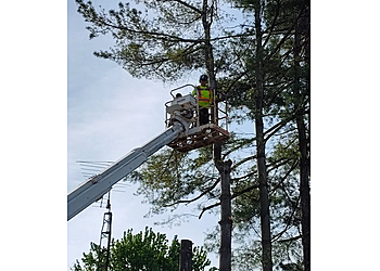 Welland Services d'arboriculteur Tip Top Tree Service Ltd - Niagara Arborist
