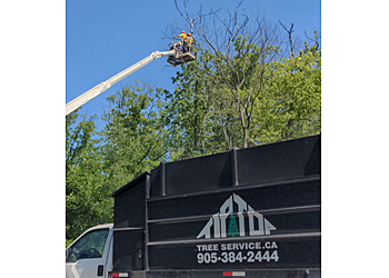 Welland Services d'arboriculteur Tip Top Tree Service Ltd - Niagara Arborist