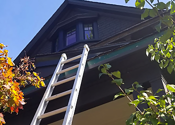 Vaughan gutter cleaner Tip Top Trough