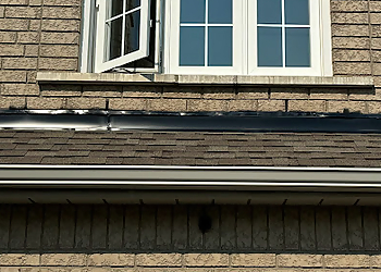 Vaughan gutter cleaner Tip Top Trough