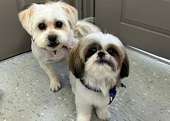 Repentigny pet grooming Toilettage Aux Poils Doux