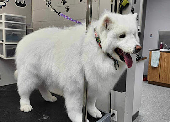 Repentigny pet grooming Toilettage Aux Poils Doux