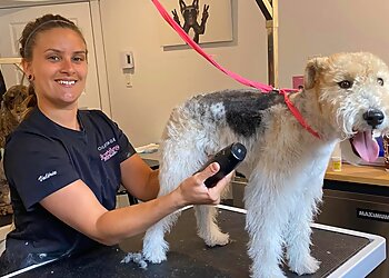 Mirabel Salons de Toilettage Pour Animaux De Compagnie Toilettage Barbière St-DOGustin