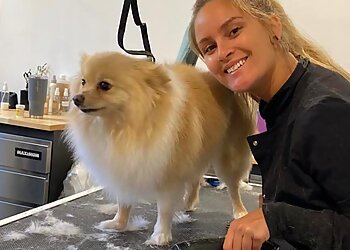 Mirabel Salons de Toilettage Pour Animaux De Compagnie Toilettage Barbière St-DOGustin