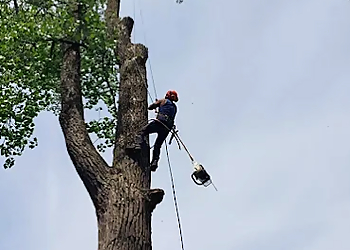 Tomahawk Tree & Service - Niagara Falls, ON Tree Services - Field Work Image