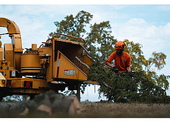 Niagara Falls Services d'arboriculteur Tomahawk Tree Surgeons