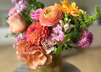 Tonic Blooms - Toronto, ON Fleuristes - Sample Image