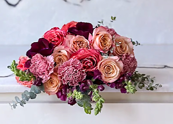 Tonic Blooms - Toronto, ON Fleuristes - Design Image