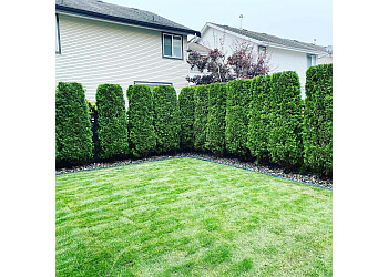 Maple Ridge lawn care service Top Gun Landscaping