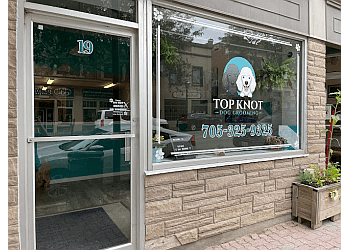 Top Knot Dog Grooming