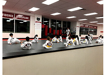 Milton martial art Top Level Taekwondo & Martial Arts Academy