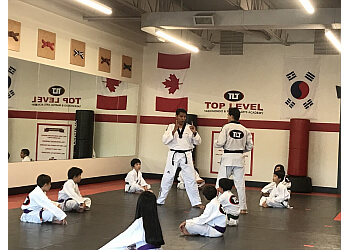 Milton martial art Top Level Taekwondo & Martial Arts Academy