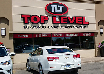 Milton martial art Top Level Taekwondo & Martial Arts Academy