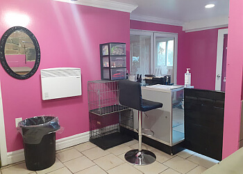 Kawartha Lakes pet grooming Top Notch Dog Grooming