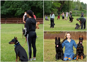 Whitby dog trainer Toronto K9 Center