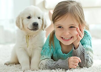 Toronto carpet cleaning Toronto Steam N' Clean