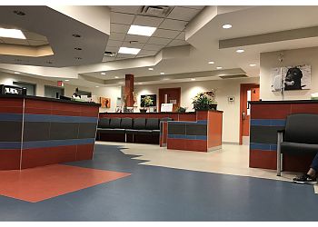 Toronto veterinary clinic Toronto Veterinary Emergency Hospital