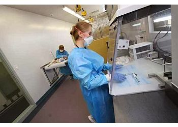 Toronto veterinary clinic Toronto Veterinary Emergency Hospital