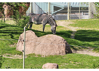 Toronto places to see Toronto Zoo