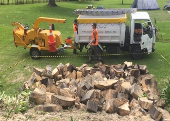 Total Tree Care Total Tree Care