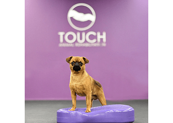 North Bay dog trainer Touch Animal Rehabilitation