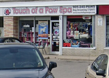 Oshawa pet grooming Touch of a Paw Spa image 1