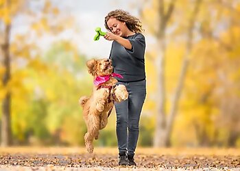 Brossard Dresseurs De Chiens Toutanima Éducation Canine