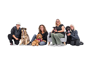 Saint Jean sur Richelieu Dresseurs De Chiens Toutanima Éducation Canine